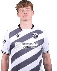 3Liga Wirechtanders Sticker by SV Sandhausen
