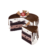icecream creations Sticker by Cold Stone Creamery