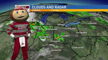 Ohio State Sport GIF by Ohio State Athletics