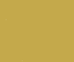 flashaircargo miami fast flash air GIF