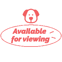Puppy Viewing Sticker by Pet Master