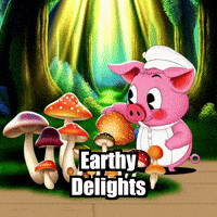 Beauty Mushrooms GIF by The Pigasso