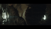 rosie lowe birdsong GIF