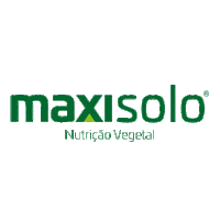 Maxisolo Sticker by Sulgesso