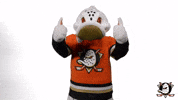 Wild Wing Thumbs Up GIF by Anaheim Ducks