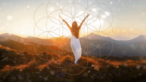 simonematthews giphyupload GIF