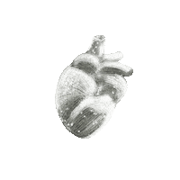 Heart Glitter Sticker by Lada Fiori