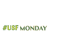 usf bulls Sticker by University of South Florida