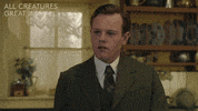 Channel 5 Ok GIF by All Creatures Great And Small