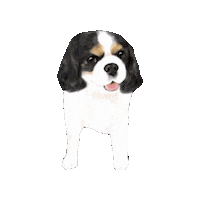 Dog Sticker