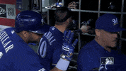Major League Baseball Sport GIF by MLB