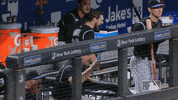 regular season sport GIF by MLB