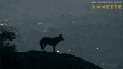 Cry Howling GIF by Amazon Prime Video