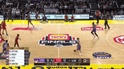 GIF by NBL