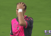 ligue 1 soccer GIF by Toulouse Football Club