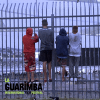 Happy Best Friends GIF by La Guarimba Film Festival