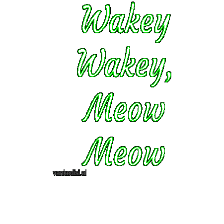 Good Morning Cat Sticker by vankedisi