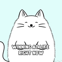 Happy White Cat GIF by MESA My Emotional Support Animal