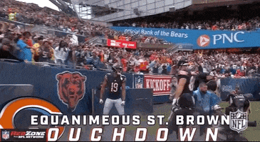Regular Season Football GIF by NFL