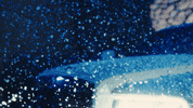 Lb Young Adz GIF by D-Block Europe