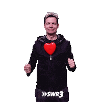 Love You Couple Sticker by SWR3