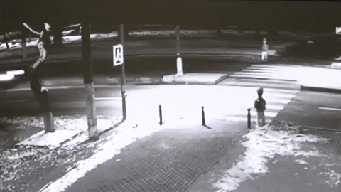 Nikita95 giphyupload GIF