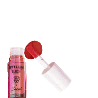 Cosmetics Blush Sticker by PAC