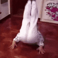 노무현 GIF