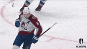 Happy Stanley Cup Playoffs GIF by NHL