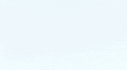 Elizabeth Banks Dnc GIF by Election 2016