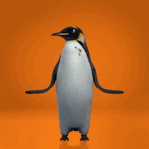 pindoponto giphyupload GIF