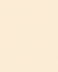 Amigos Mate GIF by Estudio Koi