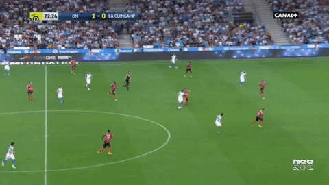 marseille GIF by nss sports