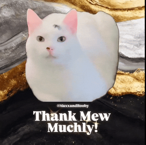 White Cat Thank You GIF
