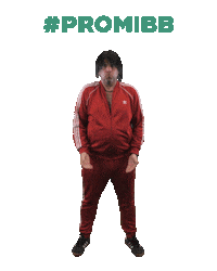 Swipeup Promibb Sticker by sat1
