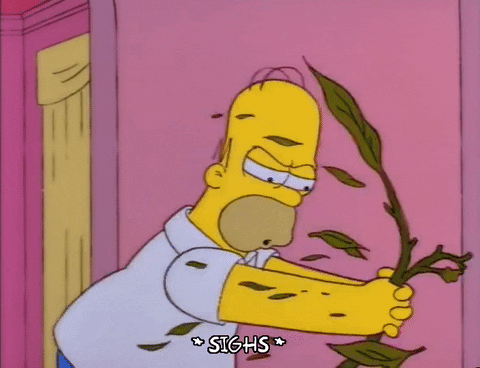 homer simpson episode 3 GIF