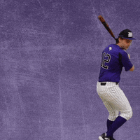 Baseball Wesleyan GIF by KWC Panthers