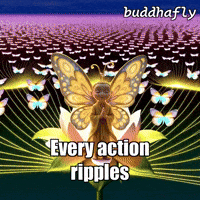Unity Flower GIF by BuddhaFlyJourney