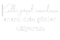Guzel Sticker
