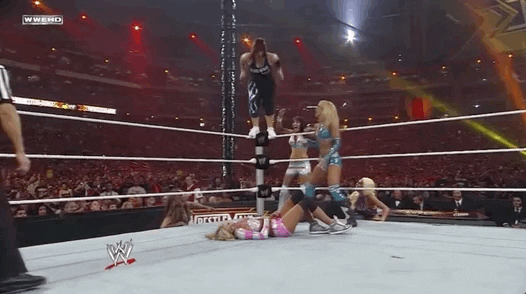 vickie guerrero wrestling GIF by WWE