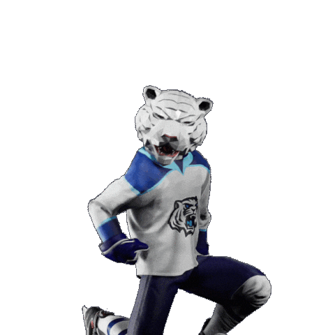 Hockey Hokej Sticker by Tipsport extraliga