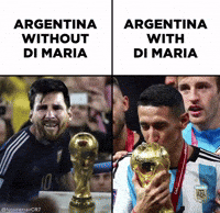 World Cup Pessi GIF