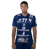 Hand King Sticker by GRAND BESANÇON DOUBS HANDBALL