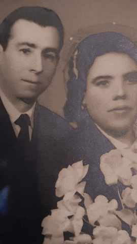 israTecnolocura giphyupload GIF