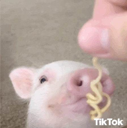 Nom Nom Nom GIF by TikTok Italia