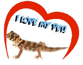 Guinea Pig Love Sticker