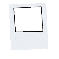 Summer Photo Sticker