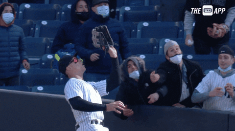 Ny Yankees GIF by Jomboy Media