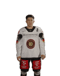 Ice Hockey Sticker by deb_teams