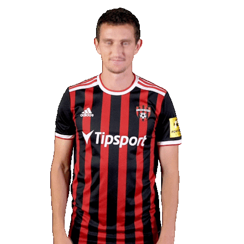 Oh No Football Sticker by Fortuna Liga